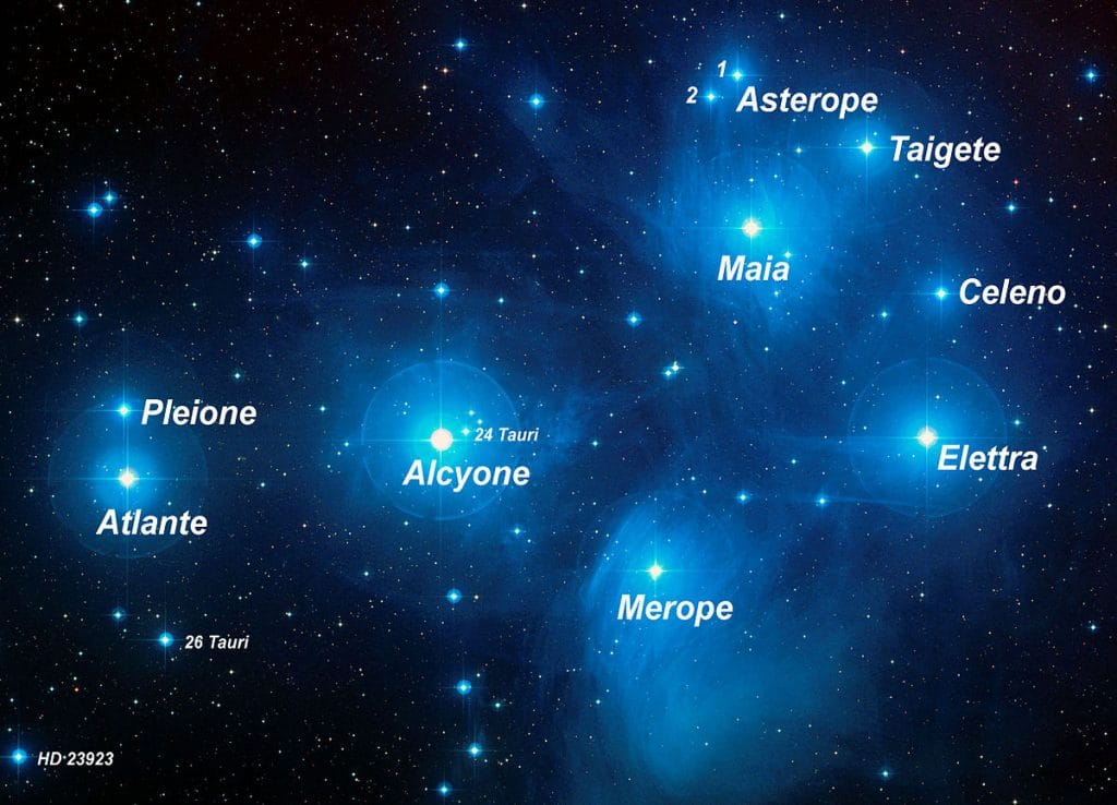 pleiades sky november